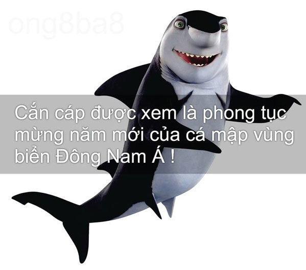 Mỗi lần cáp quang biển có vấn đề, cá mập lại bị réo tên.