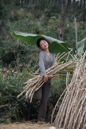 Nói về những lời so sánh, Lâm Anh tâm sự: "Nhân vật Lý Tử Thất là một người đi tiên phong về nội dung này. Tài năng của chị ấy cũng được cả thế giới công nhận. Mình là người đi sau lại còn rất nhiều hạn chế nên cảm thấy vui hơn là buồn khi được so sánh với Lý Tử Thất...