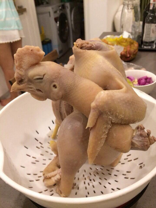 Luộc gà xong mà đầu, cổ không còn nguyên vẹn trên thân.