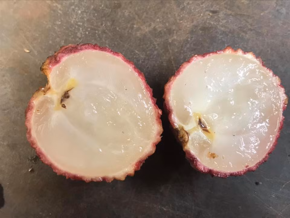 Tuy nhiên, nếu ăn nhiều vải quá các bạn sẽ bị nóng trong người.