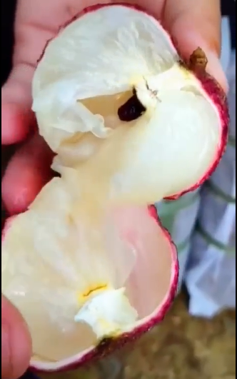 Phải thừa nhận rằng nhìn quả vải đủ tiêu chí vỏ mỏng, cùi dày, hạt bé là cực phẩm ai cũng muốn thử.