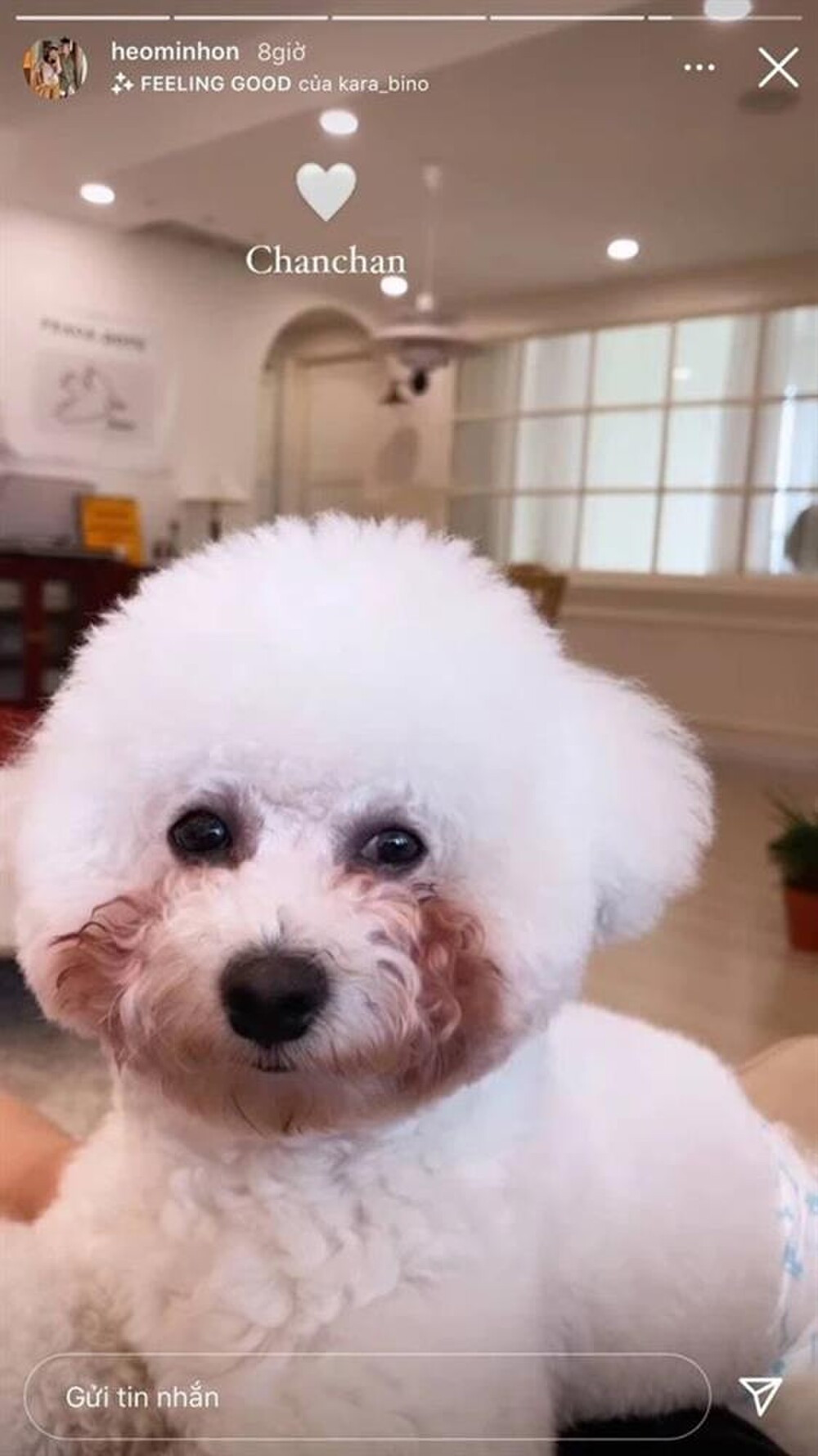 Tuy nhiên đến tháng 9/2018, gia đình Cam Cam quyết định rao bán căn hộ để mua một căn mới rộng rãi hơn. Thậm chí cả hai còn tự hào khoe rằng đã sở hữu 2 căn hộ mới trong tòa chung cư cao cấp ở Hà Nội.