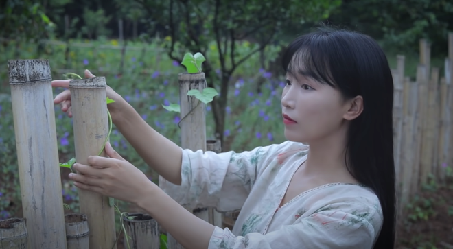 Việc vắng bóng gần 6 tháng qua khiến lượng người theo dõi mỹ nữ Lý Tử Thất sụt giảm mạnh.