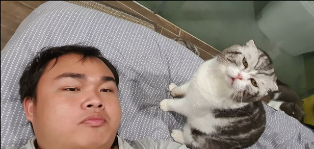 Về nguồn gốc, Leo là giống mèo Anh lông ngắn thuần chủng, được một người bạn của anh chủ liên hệ và mua với giá sang tay 46 triệu. Nhưng sau này, Leo được Chu Hải nhận nuôi vì người chủ đầu bận rộn.