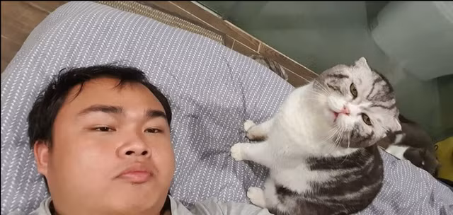 Về nguồn gốc, Leo là giống mèo Anh lông ngắn thuần chủng, được một người bạn của anh chủ liên hệ và mua với giá sang tay 46 triệu. Nhưng sau này, Leo được Chu Hải nhận nuôi vì người chủ đầu bận rộn.