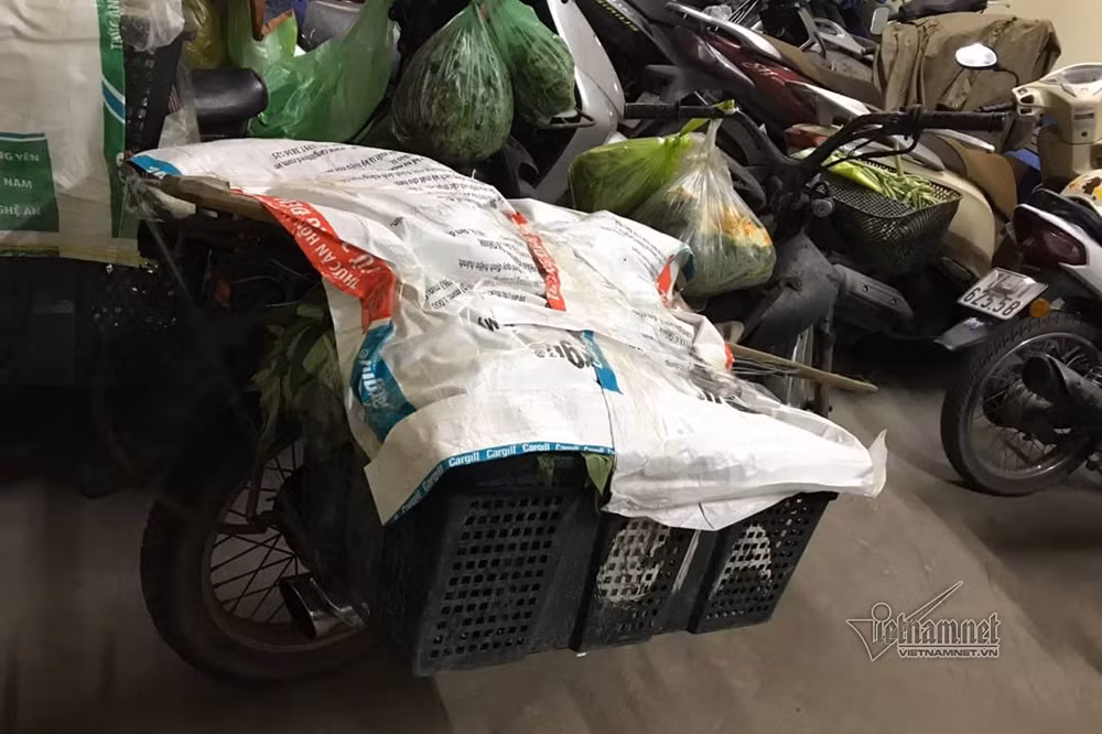 Pho chu tich phuong noi 