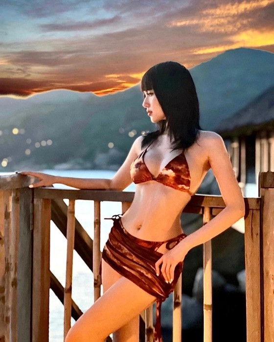 Trước khi Nam tiến, Tâm Tít từng là ca sĩ độc quyền của công ty Madona, người mẫu cho nhiều tựa game online nổi tiếng lúc bấy giờ. Năm 2009, gái xinh này tham gia cuộc thi Người đẹp Hoa anh đào và về nhì, sau thí sinh Trần Thị Thùy Dương.