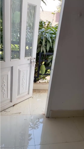 Ai trồng cây cũng đều mong đến ngày hái quả, tuy nhiên trong một số trường hợp thì những trái ngọt này lại không nghe chủ, khi những cành nhiều quả nhất lại vươn sang nhà hàng xóm.