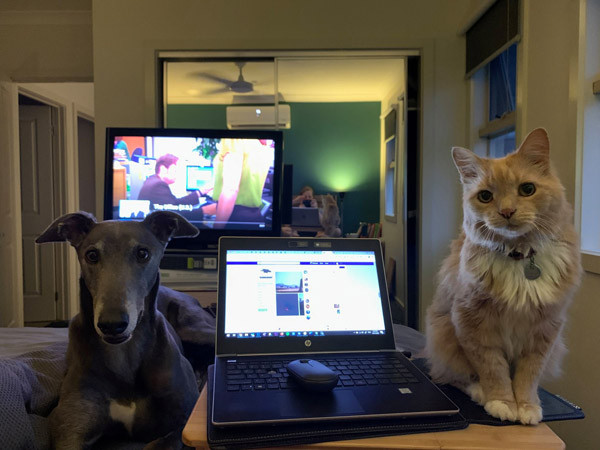 Có người đơn giản hơn, chỉ cần một chiếc ghế đủ êm, đủ chỗ ngồi thoải mái và một chiếc laptop có mạng đầy đủ để làm việc từ xa.