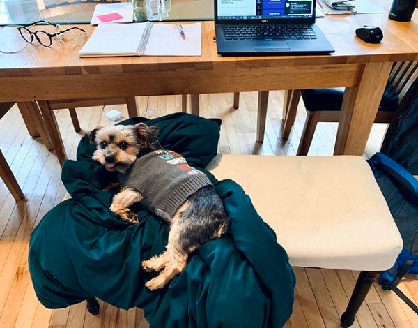 Tùy theo tính chất công việc và sở thích, có người đầu tư góc làm việc tại nhà "sang, xịn, mịn" chẳng kém gì một văn phòng thu nhỏ.