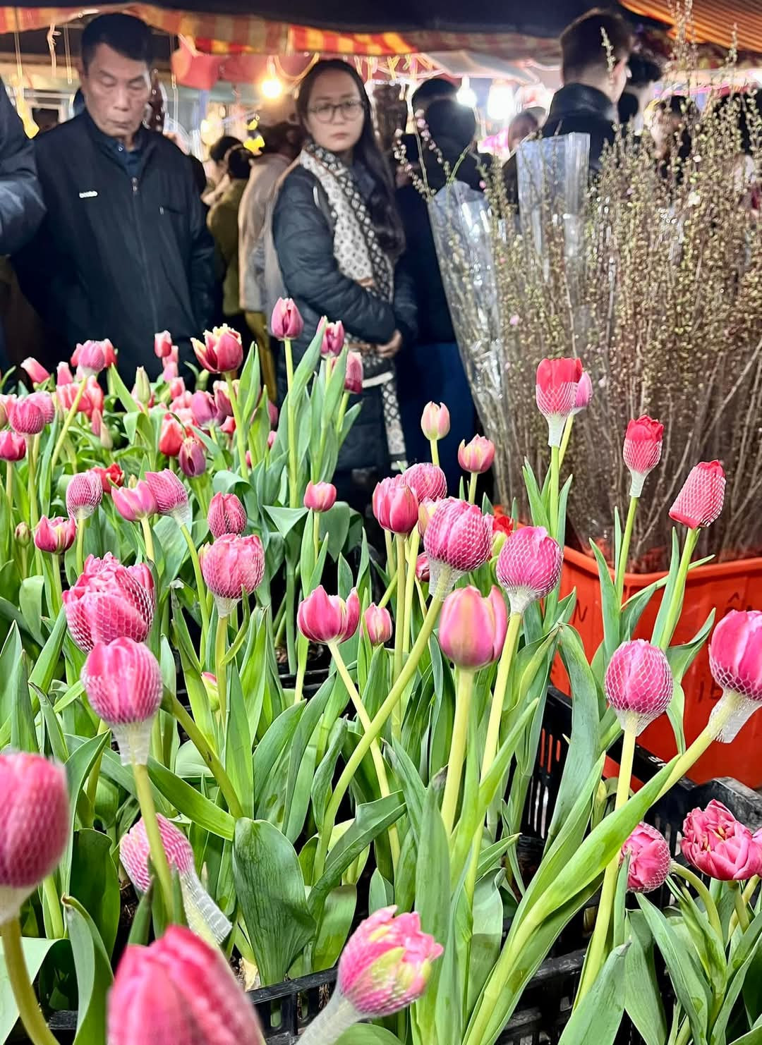 Được biết, giá thành của nhiều loại hoa trong dịp Tết năm nay cao hơn ngày thường khá nhiều, có những loại hoa tăng gấp đôi, gấp 3 nhưng vẫn đắt khách tới tìm mua.