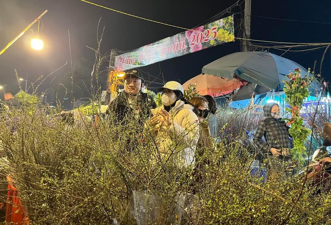 Những cành hoa phát lộc đỏ cũng đắt khách hỏi thăm.