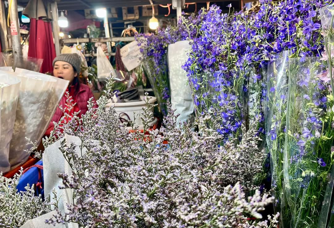 Nhiều tiểu thương cho biết, vì dịp Tết nên thị trường hoa giá thành sẽ tăng, thậm chí tăng cao vào dịp rằm tháng Giêng hay lễ Thần tài.