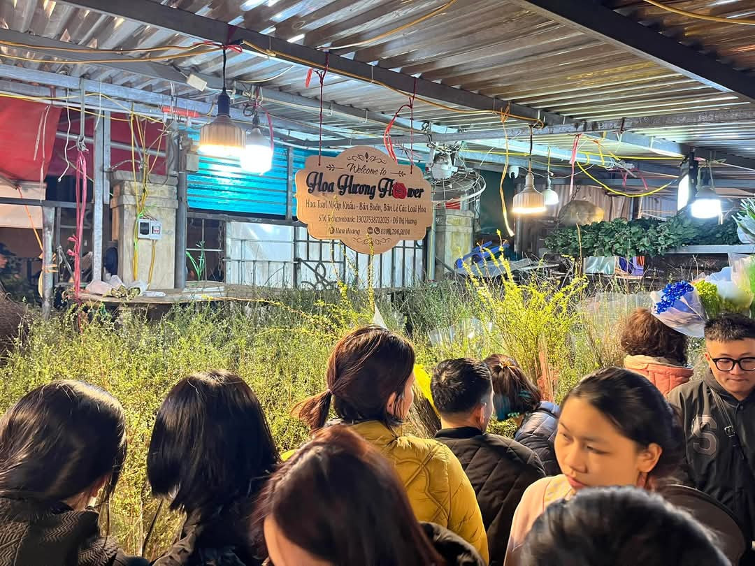 Hoa lan tường hút khách dịp Tết năm nay khi nhiều người dân lựa chọn để đem về trang trí Tết. Giá thành cho 1 bó lan tường khoảng 90.000-100.000 đồng.