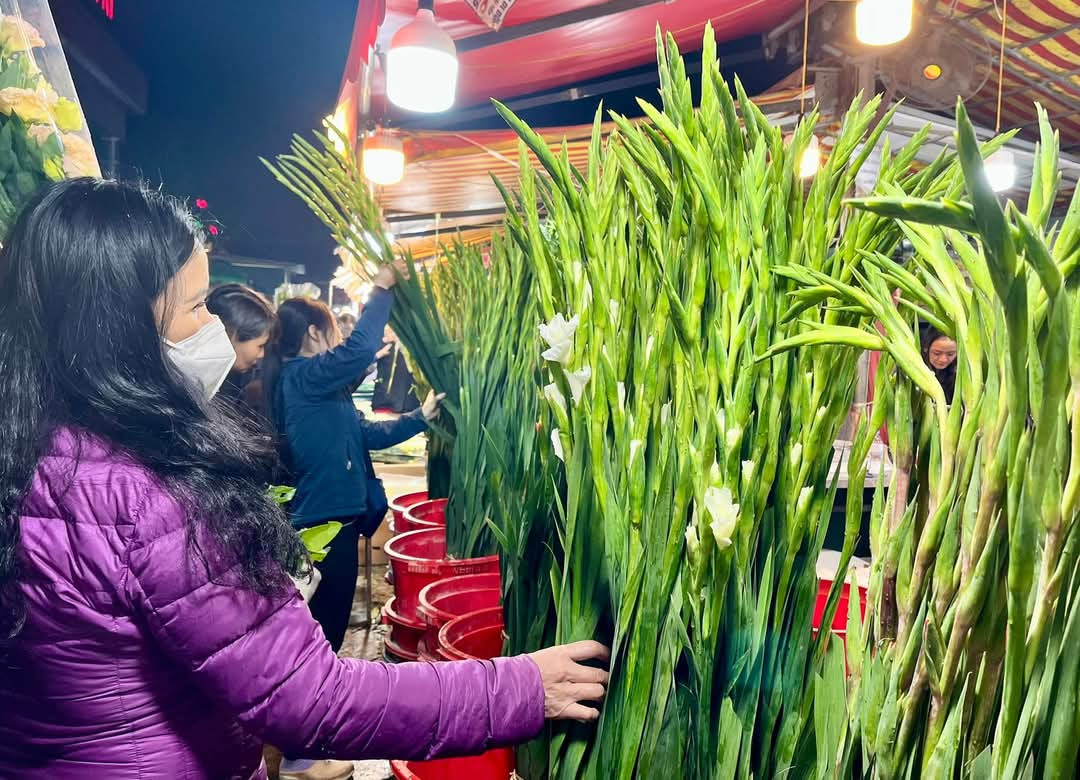 Hàng nghìn người đổ về chợ hoa đêm Quảng An tạo nên bầu không khí nhộn nhịp và nhiều màu sắc.