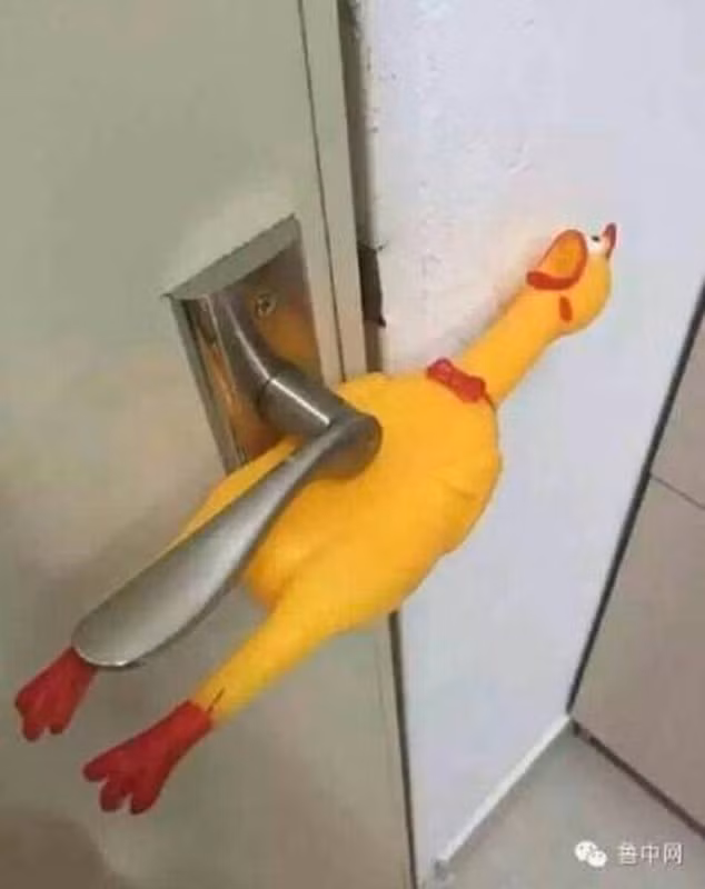 Các tên trộm dù có mưu mô nhưng cũng đừng xem thường khả năng chống trộm "bá đạo" nhưng đầy tính cẩn thận của cư dân mạng.