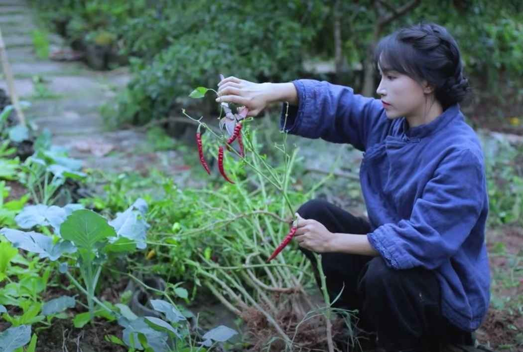 Đằng sau thành công của lượt view liên tục tăng, sự thật thì Lý Tử Thất không phải tiên nữ mà cũng chẳng có thế giới thần tiên nào ở đây. Tất cả đều nhờ khung cảnh yên bình cũng như cách làm video khéo léo của nữ YouTuber.