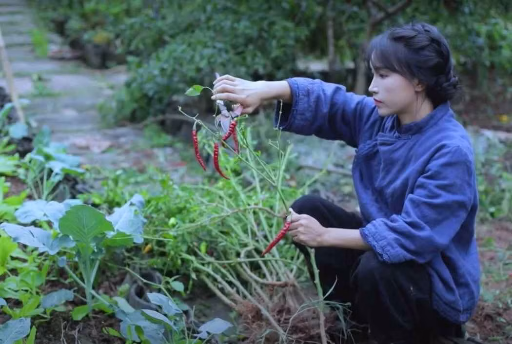 Đằng sau thành công của lượt view liên tục tăng, sự thật thì Lý Tử Thất không phải tiên nữ mà cũng chẳng có thế giới thần tiên nào ở đây. Tất cả đều nhờ khung cảnh yên bình cũng như cách làm video khéo léo của nữ YouTuber.