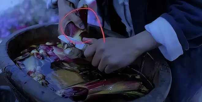 Bên cạnh đó để làm video triệu view, Lý Tử Thất đã bị thương rất nhiều.