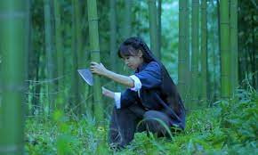 Lý Tử Thất có cách quay và dựng video cực kỳ riêng biệt, thậm chí tạo nên phong cách Lý Tử Thất với những người làm sáng tạo nội dung. Cũng chính nhờ những kỹ thuật này mà cô tạo nên bối cảnh yên bình, được nhiều người yêu thích.