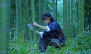 Lý Tử Thất có cách quay và dựng video cực kỳ riêng biệt, thậm chí tạo nên phong cách Lý Tử Thất với những người làm sáng tạo nội dung. Cũng chính nhờ những kỹ thuật này mà cô tạo nên bối cảnh yên bình, được nhiều người yêu thích.