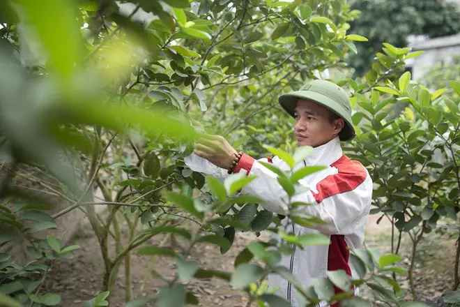 Nhiều người bày tỏ không nhận ra khi nhìn thảm họa mạng 8X qua bức ảnh mới được đăng tải