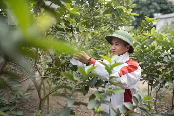 Nhiều người bày tỏ không nhận ra khi nhìn thảm họa mạng 8X qua bức ảnh mới được đăng tải