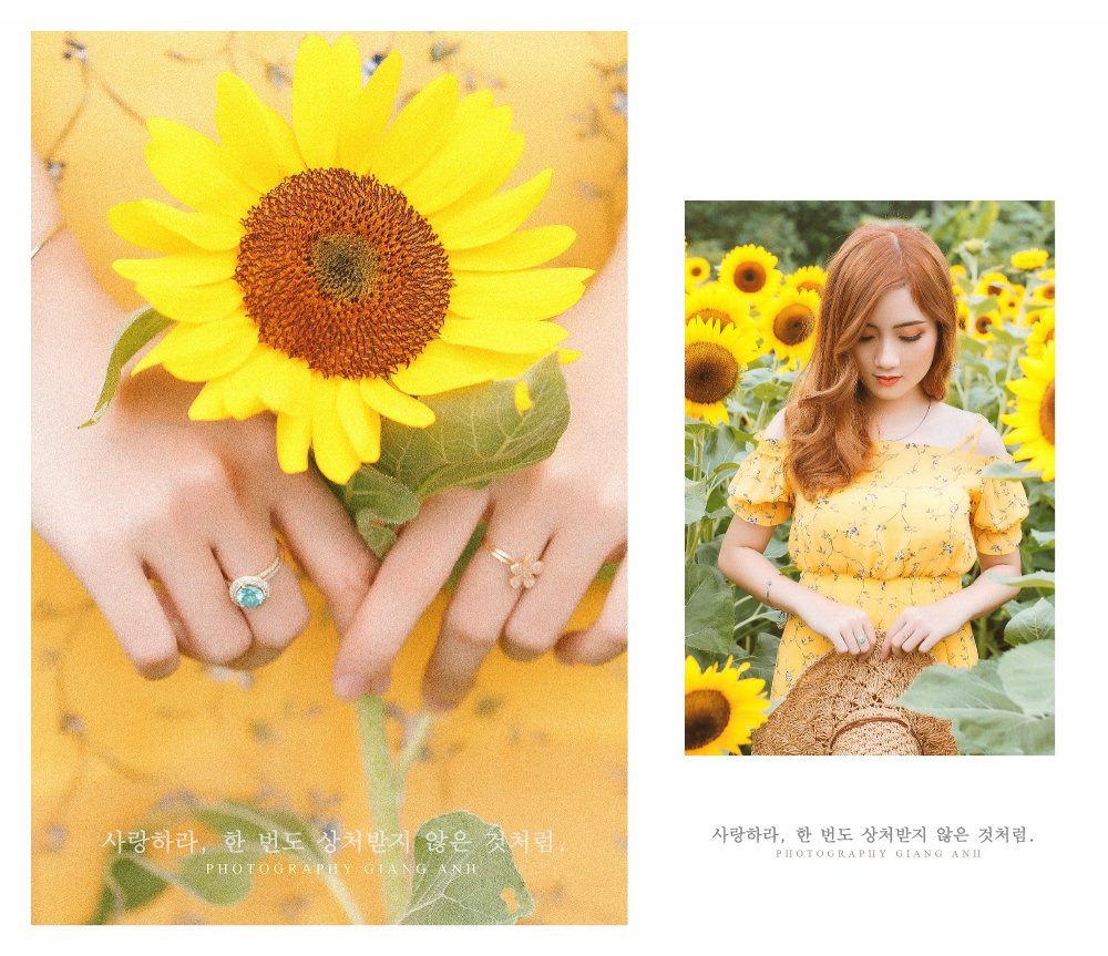 Tất cả những thành tựu này là động lực cho Ngọc Thảo để tiếp tục phấn đấu và chinh phục những mục tiêu trong tương lai.