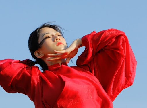 Bản thân Lê Bống lại phải nhận muôn vàn gạch đá từ cộng đồng mạng khi cho rằng đây là một sự xúc phạm đối với nghệ thuật và nghệ sĩ múa chuyên nghiệp.