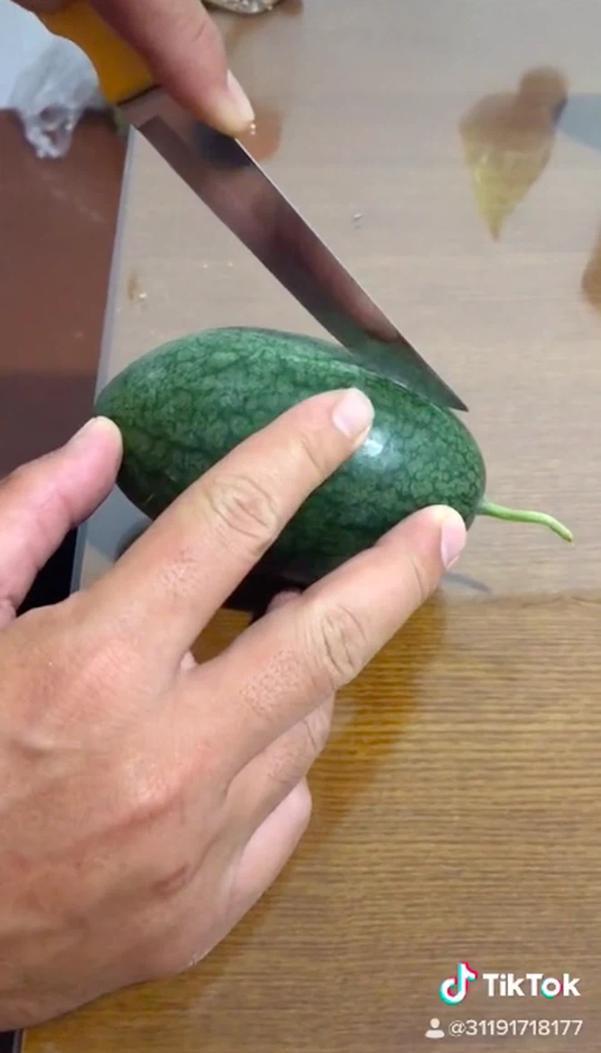 Tới ngày thu hoạch, cây dưa hấu chỉ đậu 1 quả duy nhất, lại còn bé tí hon chỉ cỡ lòng bàn tay.