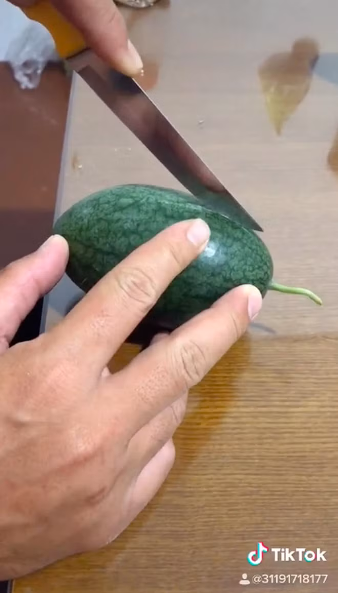 Tới ngày thu hoạch, cây dưa hấu chỉ đậu 1 quả duy nhất, lại còn bé tí hon chỉ cỡ lòng bàn tay.