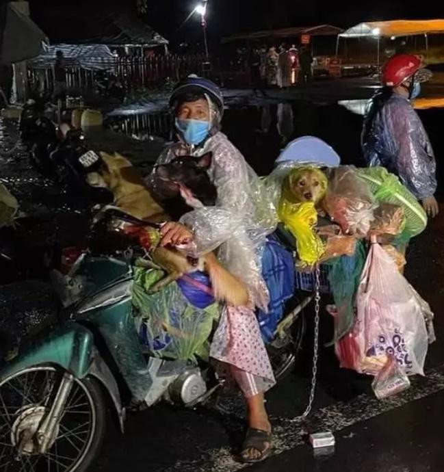 Mới đây, trên mạng xã hội xuất hiện một bài viết "tố" chủ đàn chó ở Cà Mau đã tiêu sạch số tiền 120 triệu do nhà hảo tâm quyên góp, thậm chí còn "ngửa tay xin thêm".