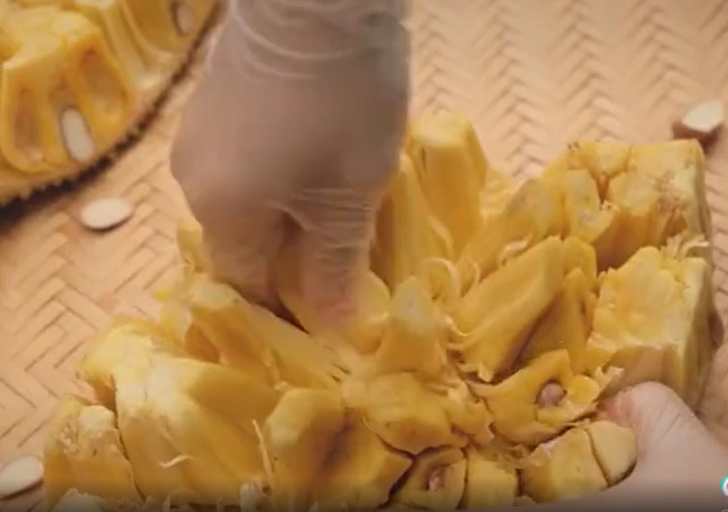 Mở đầu clip, TikToker trên có màn bổ mít khá đẹp sau đó tách từng múi mít ra.