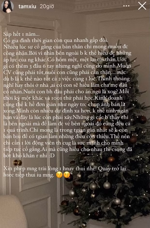 Theo đó, Tâm Xíu đã đăng story siêu dài, mở đầu bằng chuyện đã sắp hết một năm.