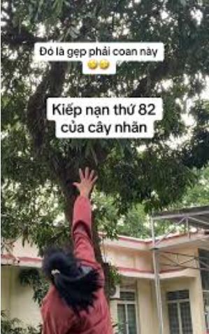 Câu nói mang chủ yếu mang tính chất giải trí và là một cách thú vị để khích lệ con người có thể vượt qua mọi thử thách với sự lạc quan và hài hước.