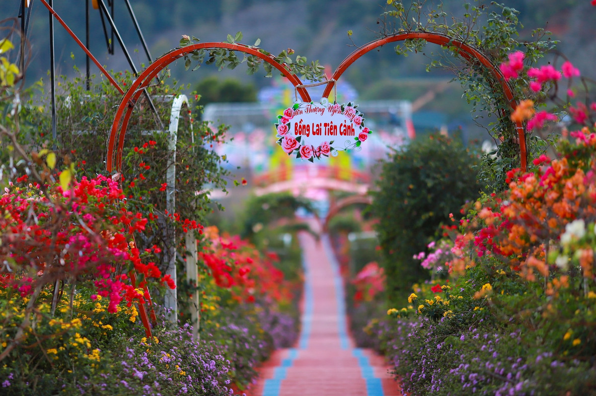 Hay tài khoản M.T có để lại bình luận:” Mình thường xuyên lên Đà Lạt du lịch vì thích sống ảo. Tuy nhiên, khi đến trải nghiệm thử khu du lịch mới này mình lại không chụp được gì vì bối cảnh quá màu mè, rối mắt.”