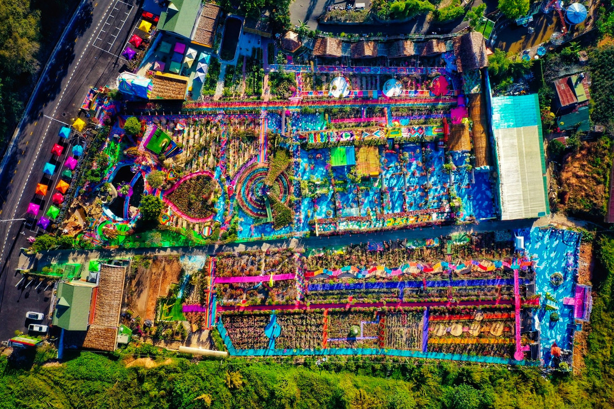 Vườn Thượng Uyển Bay là khu du lịch Đà Lạt. Nơi đây có diện tích gần 2 ha, trồng khoảng 50.000 gốc hoa giấy bảy màu, 2 con công chính từ 5.000 chậu hoa, ngoài ra là gần 10.000 cây hoa hồng.