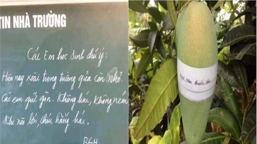 Bên cạnh những màn trộm xoài thì không ít những màn chống trộm bá đạo cũng được đăng tải.