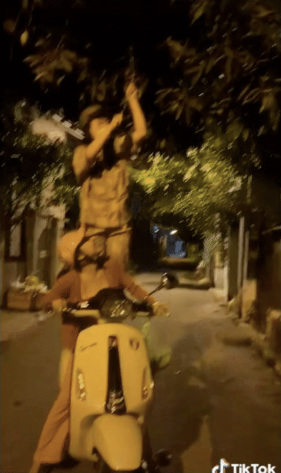 Trước đó, trên TikTok dân tình liên tục bắt gặp những đoạn clip ghi lại cảnh vặt trộm trái cây, thường gặp nhất là xoài non.