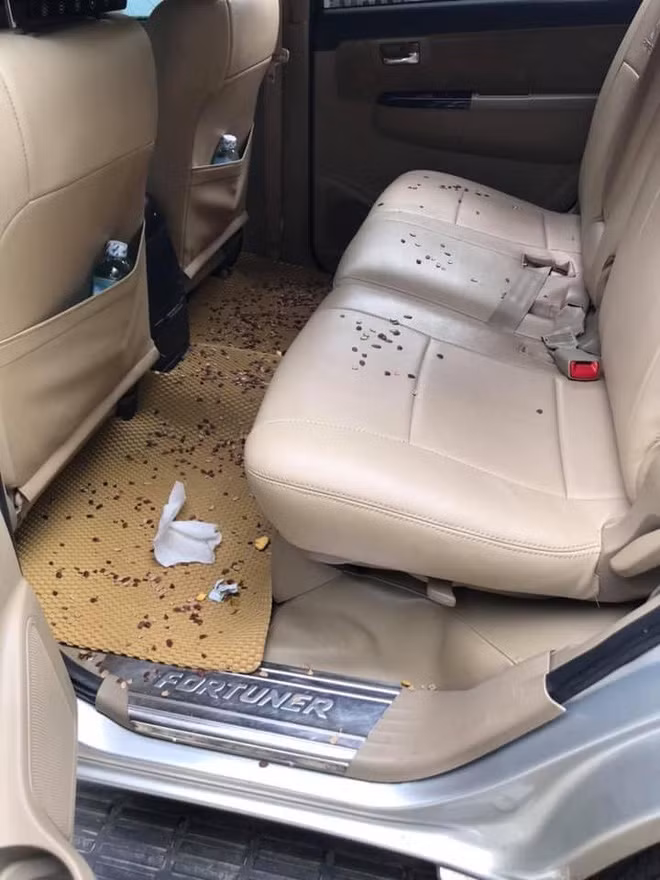 Phía dưới bài đăng của tài xế N.A, các anh em cùng cánh "bác tài" cũng tranh thủ kể chuyện oái oăm của khách.