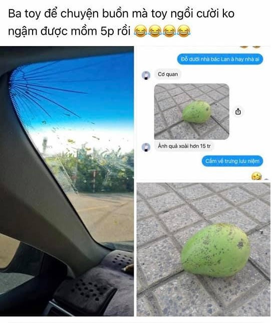 Một người dùng facebook đã đăng lên mạng xã hội này hình ảnh hai quả xoài vỡ và một nóc xe ô tô có cửa sổ trời vỡ toang kèm dòng chữ: "Nghe nói quả xoài này có giá 25 triệu, chắc có lẽ là quả xoài đắt nhất Việt Nam. Kính sau cửa panomara xe mec E280 đời 2007".