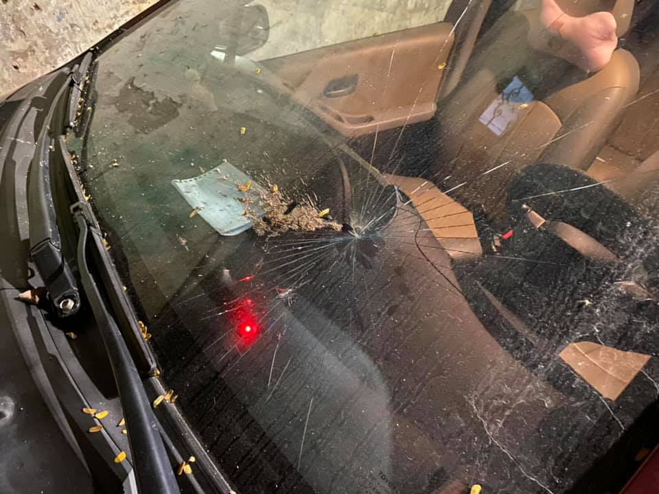 Sau những pha tai nạn vì xoài, nhiều người khuyên các chủ xe ô tô không nên dừng đỗ xe dưới tán cây to, nhất là những cây có quả có thể bất thình lình rơi xuống như xoài, dừa, mít....