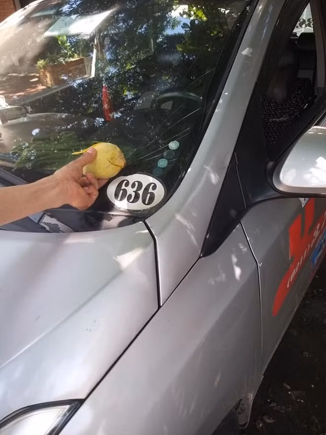 Câu chuyện vỡ kính xe ô tô do những quả xoài không phải là hiếm. Thế nhưng, khi xoài được mùa như năm nay thì cư dân mạng lại có cơ hội chiêm ngưỡng vô số trái xoài "đắt đỏ", bị "định giá" vài trăm tới hàng chục triệu đồng.