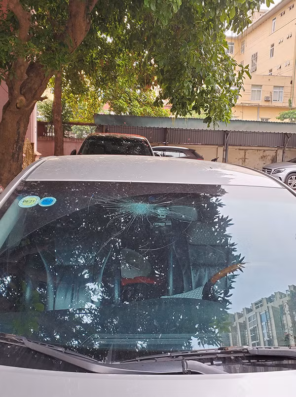 Theo những người am hiểu về xe đánh giá, kính của chiếc xe này có giá khoảng 25 triệu đồng. Có nghĩa là, một quả xoài rơi xuống khiến Phượng Chanel cũng rơi luôn số tiền tương ứng để thay thế kính xe ô tô.