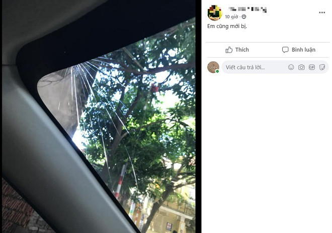 Ngay sau khi đăng ít giờ, bài đăng cây xoài được định giá vài chục triệu đồng đã thu hút hàng chục nghìn lượt bình luận, bày tỏ cảm xúc và chia sẻ của cư dân mạng.