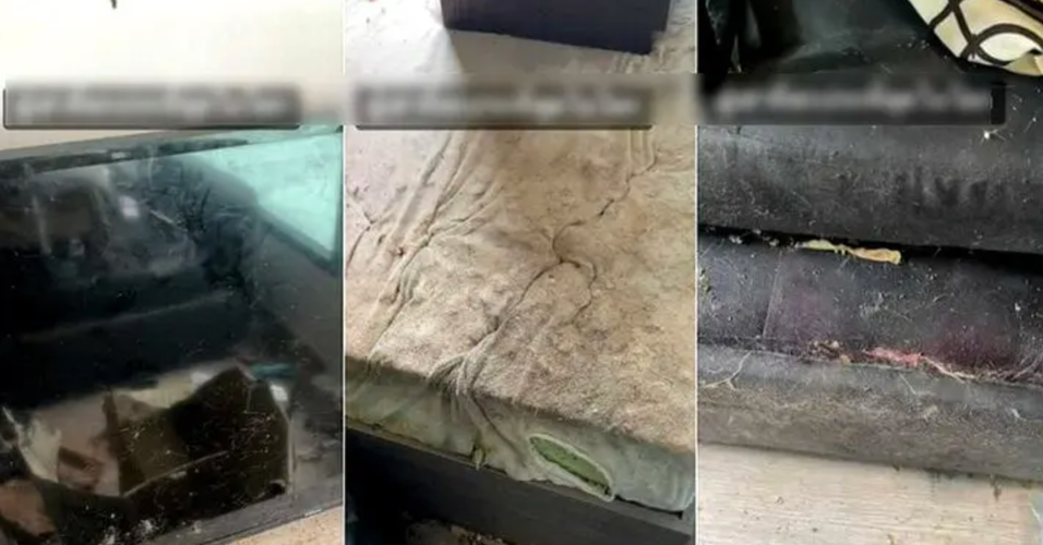 Một chiếc sofa trong căn phòng trọ mốc không nhận ra màu gốc.