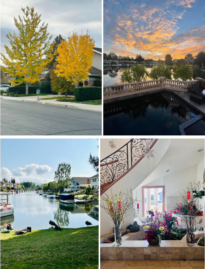 Theo thông báo trên trang cá nhân, ông Hoàng Kiều cần tuyển 1 người giúp việc nhà và nấu ăn trong gia đình. Nhiệm vụ quan trọng của người giúp việc này là “mỗi sáng cần đi bộ chung” với tỷ phú.