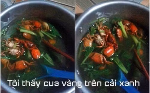 Trước đó, không ít lần dân tình cũng đã đăng tải những món ăn thảm họa gây hoang mang dân tình.