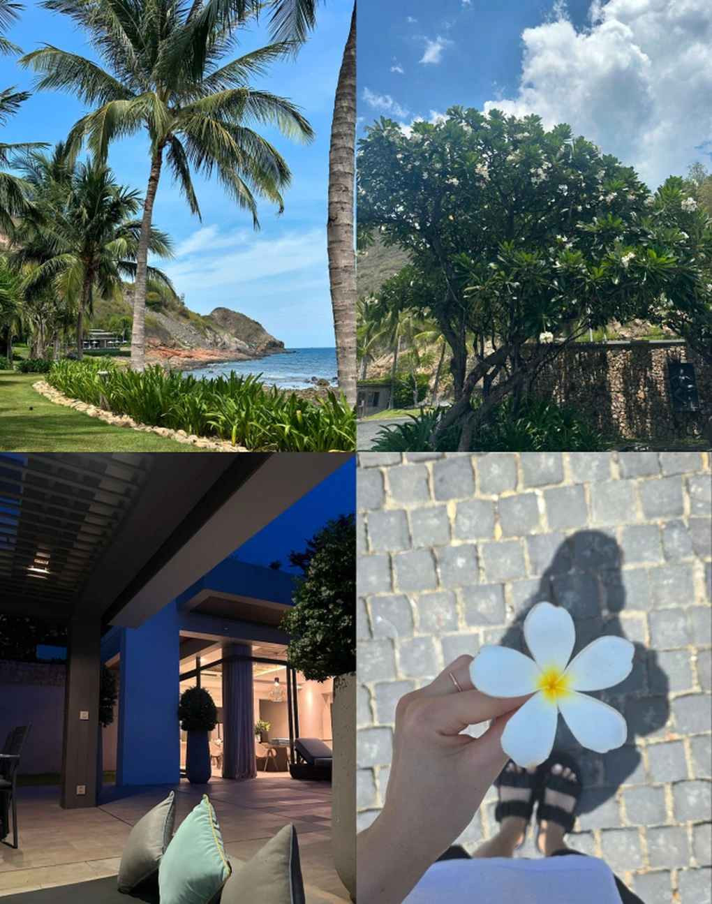 Park Bo Young có cơ hội làm việc chung với nhiều nghệ sĩ Việt Nam cũng như giao lưu với khán giả, sinh viên trong lĩnh vực điện ảnh.