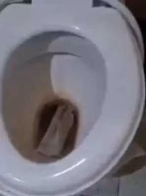 Nhìn tổng thế căn phòng trông chẳng khác nào bãi chứa rác.